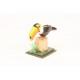 Tiny Wood Toucan on the Trunk